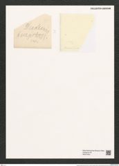 Diadesmis biceps Arnott. (de-Toni-Nr.: Genus 84, Species 2949.1) Zeichnungen Sammlung Grunow (NHMW-BOT-W0374430)